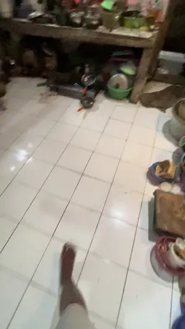 #tiktokviral 