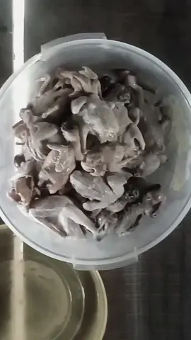 ben mồi cỡ này ae cỡ nào 😆  gần 1kg6 #v10 #xh #vip10 #xuhuongtiktok #xuhuong 