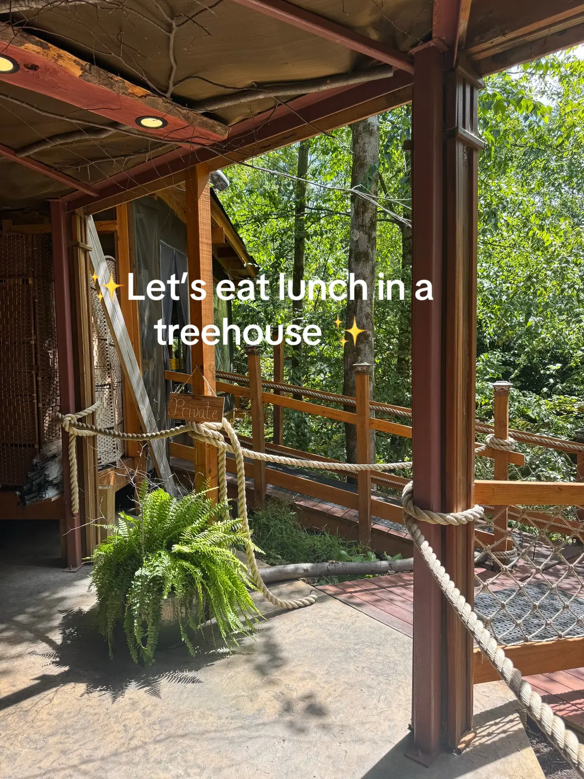 Let’s eat lunch together 🫶