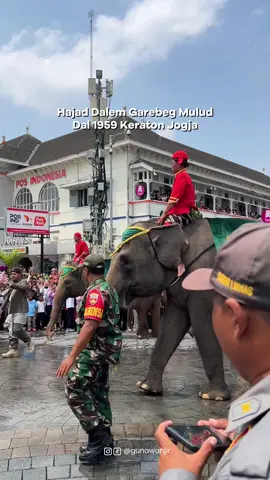 Hajad Dalem Garebeg Mulud Dal 1959 Keraton Jogja 📍Yogyakarta #explorejogja #keratonjogja #wisatajogja #placetogojogja 