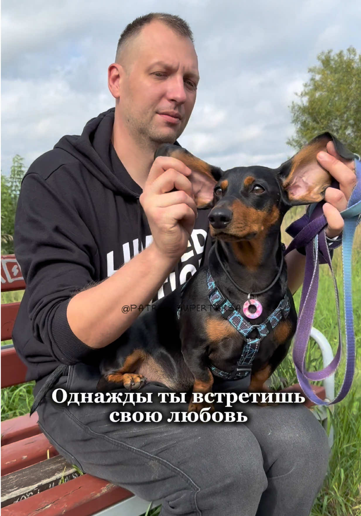Самая чистая любовь💓  #такса #догблог #таксапатрик 