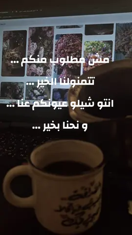 حب و علاقات #searchinsightcreators #creatorsearchinsights #صباح_الخير #قهوة_الصباح #حب 