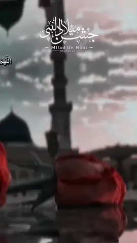 12 Rabi ul avval Mubarak #creatorsearchinsights #trending #tiktok #viralvideo #trending 