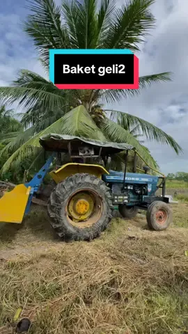 Luncur.... Harini ayaq masuk... Dreba buat kalot.... #musim2025 #padiperak🌾 #trekta 