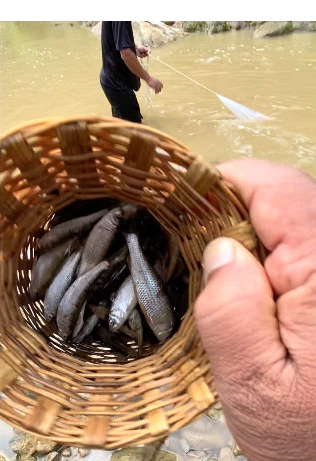 बाढी मा जाल खेल्दै Cast_net fishing in floody river#sandiprana #castnetfishing #natural #foryou # #creatorsearchinsights 