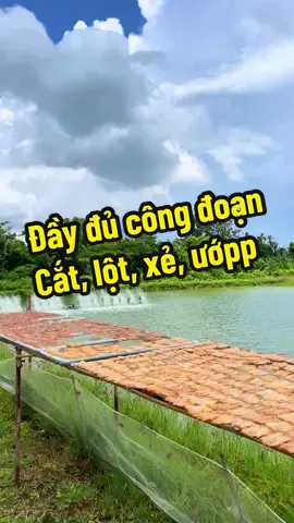 Trả lời @Anh Hữu rửa cá nhiều lần bằng nước muối loãng cho sạch máuu và khử mùi tanh, lúc chuẩn bị phơi thì mình cho xíu dầu ăn vào  trộn đều rồi mang phơi nhe mn 🥰#ilovetiktok #mientay #khô 