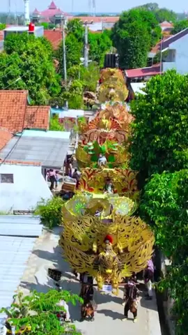 Arep di kawin bli sih?😫💃 #Siba #singabarong #bontengpindangan #fypシ゚ #fyppppppppppppppppppppppp 