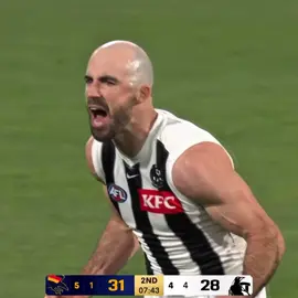 it’s coming home || #afl #collingwood #adelaidecrows #aflfinals #nickdaicos 