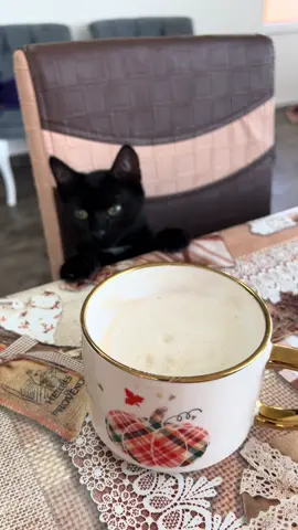 Bună dimineața! N-am cuvinte cat o pot iubi❤️🌙#fyyp 