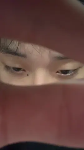 👁️🐼