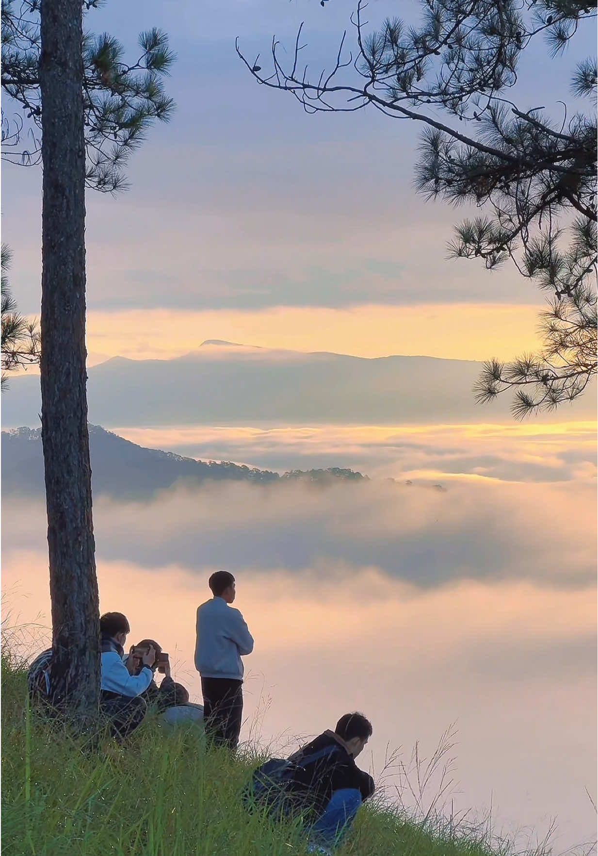 Cảnh này không phải mơ, chỉ là Hòn Bồ trong sương sớm. #dalatreels #checkindalat #reviewdalat #dalat #honbo 