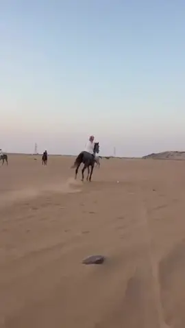 #نجران_الجنوب_اكسبلور🏃‍♀️ #النسيين_بني_هلال 