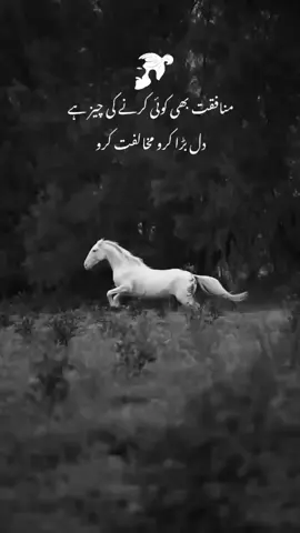 part 52 | hanji 🌼 #Foryou #horse #urdupoetry #attitudepoetry #oye_fridi 