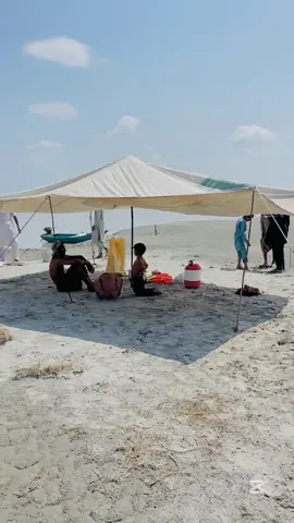 Enjoy With Friends At Indus River #fishhunting #fyp #shorts #viral #unfrezzmyaccount @Gabbar Pet House 