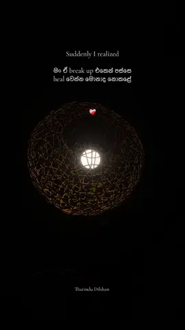 මටම හිතාගන්න බෑ, මං මාවම දරාගත්තු විදිහ ❤️‍🩹🥹❤️‍🩹 #whatsapp_status #fyppppppppppppppppppppppp #trending_song #lifewithme433 #mal_pipena_thuru_latha 