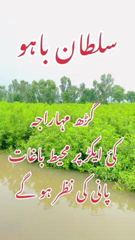 #labbaikyahussainas #garhmorejahng #😭😭😭😭😭 #shorkot #capcut_edit @SYED ZAHID SULTAN 1214 @Azam khan❤️ @Jhang News official 🎤 @Fan of mujhaid mansoor @ZakirWaseemAbbas @Jhangupdate @Qurban Jafri Official @syed Ali shaer sultan 