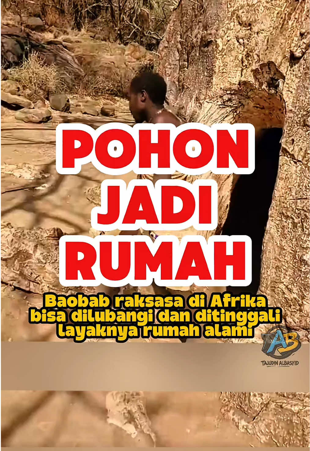 Pohon Baobab yang dijadikan rumah di Afrika. #fyp #faktaunik #baobab #DidYouKnow #fakta 