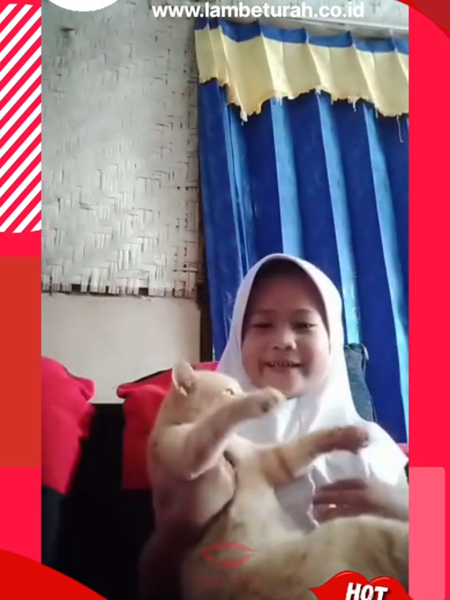 jangan maen maen sama kucing orennnn #fyp #tiktoktrending #lambeturah #viral 