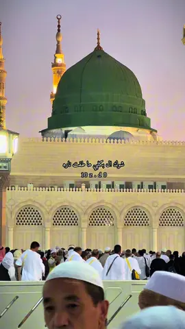 شوك ال بكلبي ماطفت ناره#اكتب_شيء_تؤجر_عليه🌿🕊 #المدينه #الجواعنه_زيد_المظهور #اللهم_صلي_وسلم_وبارك_علي_سيدنا_محمد #حلاوة_اللقاء 