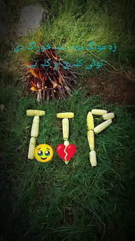 #viraltiktok #viraltiktokvideo #viral?tiktok🥰 #viralvideo #viral 