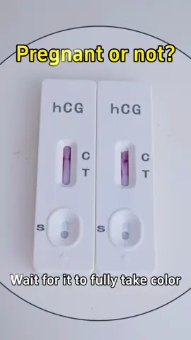 How to interpret pregnancy test results?#pregnancytest #tiktok #factory #pregnancy #pregnancytiktok 