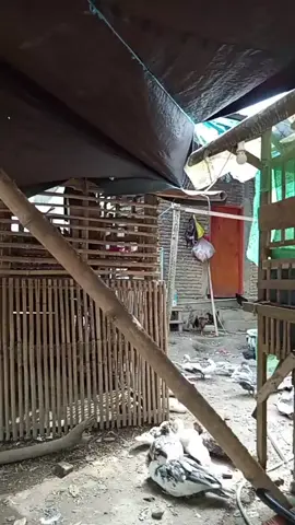#tiktoklive #livehighlights 
