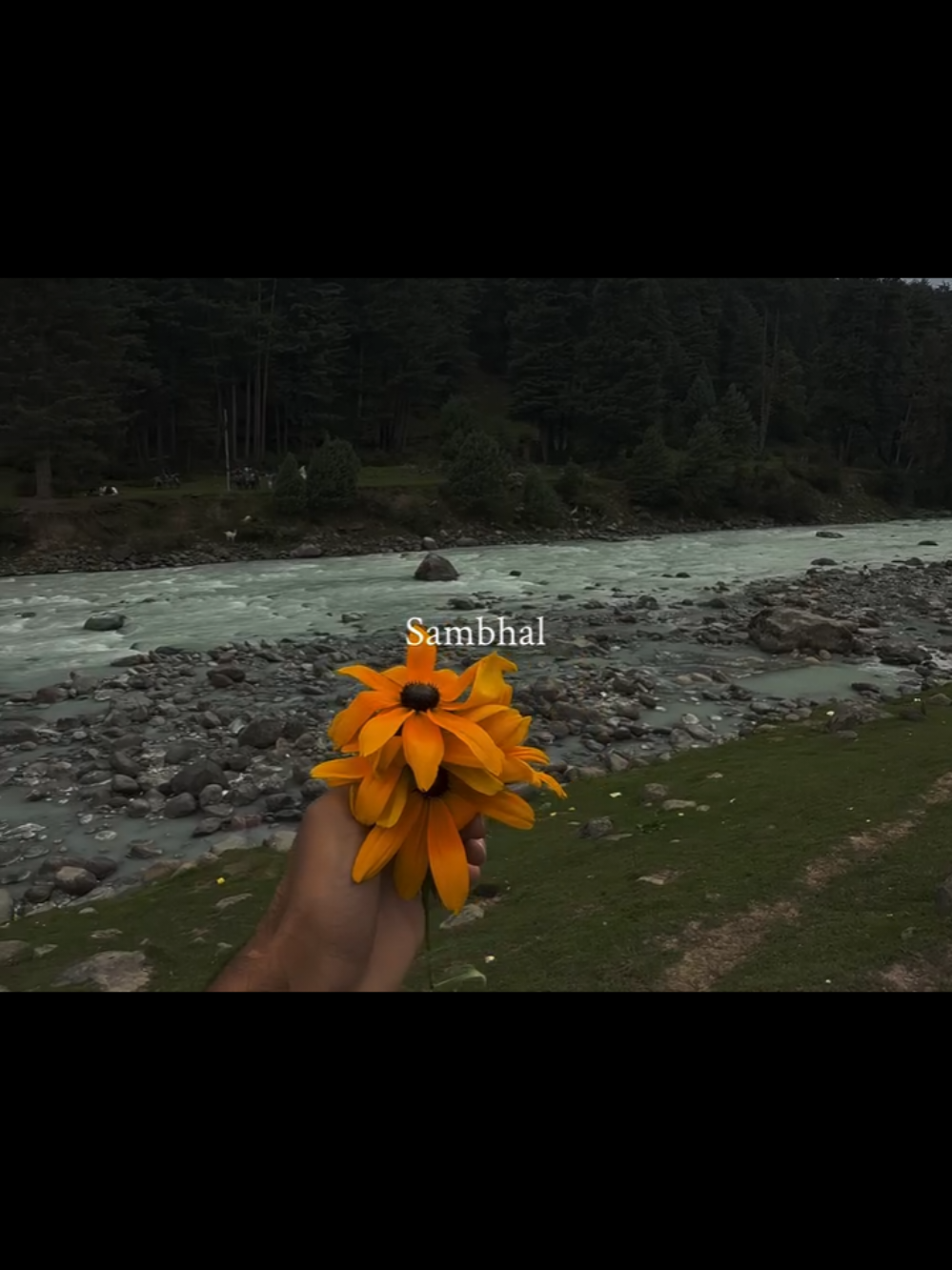 Sambhal ke rakha wo phool mera tu, Meri shayari Mai zaroor raha tu.🎀🤍 #fypシ゚ #fypageシ #fyppp #viral  #jenniferl143 