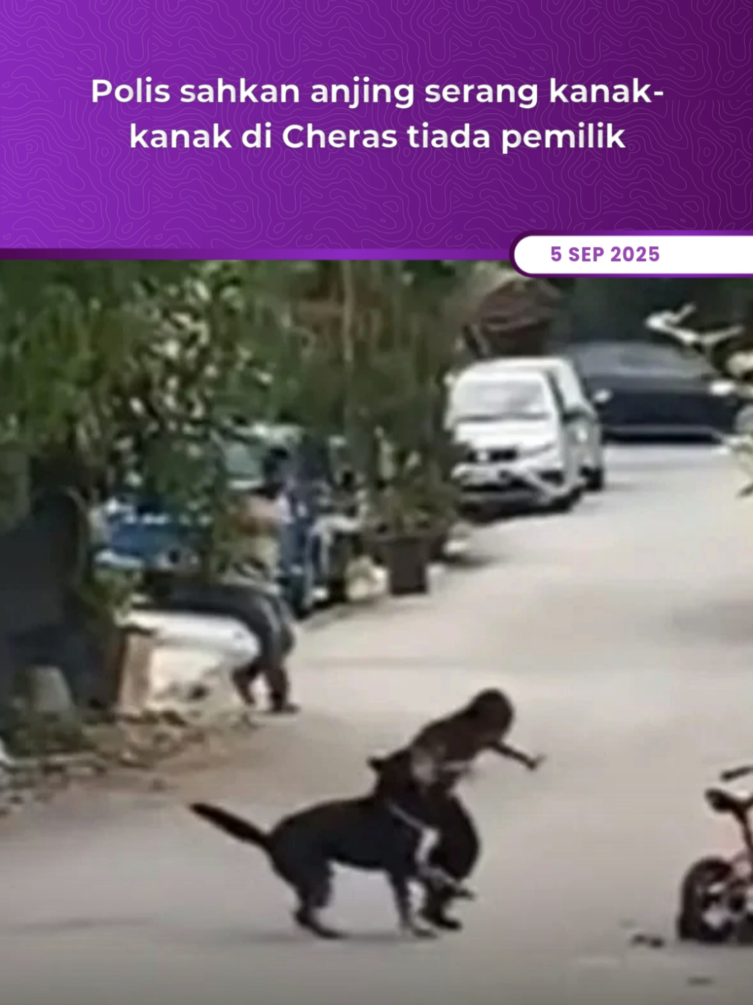 Seorang kanak-kanak lelaki berusia 6 tahun cedera di kepala selepas diserang seekor anjing liar ketika bermain basikal di Cheras, 3 September lalu. Polis mengesahkan anjing itu adalah anjing liar berdasarkan maklumat daripada Majlis Perbandaran Kajang (MPKj), dan surat pemakluman telah dihantar kepada Jabatan Veterinar. Terdahulu, video tular menunjukkan seorang kanak-kanak cedera parah selepas diserang seekor anjing ketika bermain basikal berhampiran rumahnya di Batu 9, Cheras. #AstroAudioNews 