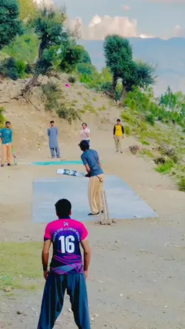 100+#viralvideo #cricketlover 