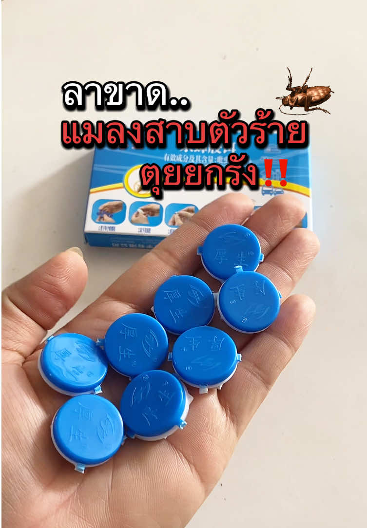 #กําจัดแมลงสาบ #เจลกําจัดแมลงสาบ #ตายยกรัง #แมลงสาบ #กําจัดแมลง 