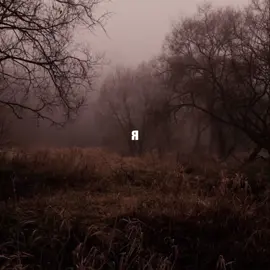 @свейдиг 💞 как вам новый альбом? Вышел покурить начинал в середине 2010-х с фристайла, а потом стал выпускать собственные треки - мрачный хип-хоп с текстами, наполненными болью, тоской, рефлексией и готическим романтизмом. Над мини-альбомом «мода» работали саундпродюсеры из творческого объединения Dead Dynasty. #вышелпокурить #mld8nk #вп #юраавангард #юравышелпокурить #юрасёмин #юрасемин #песня #музыка #музыканты #music #song #fyp #on #новыйальбом #новыйальбомвышелпокурить #LanguageLearning 