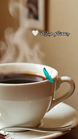 #tiktoklive #livehighlights 