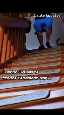 para luego es tarde ... #videosgraciosos #firulais #fyp #paratiiiiiiiiiiiiiiiiiiiiiiiiiiiiiii 