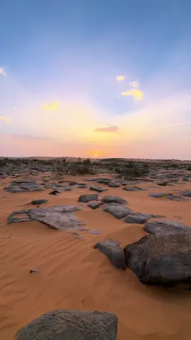 ﺃﻫْﻠًﺎ ﺑِﺼَﺎﺣِﺐِ ﻫَﺬَﺍ ﺍﻟْﻤَﻮْﻟِﺪِ ﺍﻟﻨَّﺒَﻮِﻱ  ﻣُﻘَﺎﺑَﻞِ ﺍﻟﻄَّﺮَﻑِ ﺍﻟْﺄُﻣِّﻲِّ ﻭَﺍﻟْﺄَﺑَﻮِﻱ ﺃﻫْﻠًﺎ ﺑِﻤِﻴﻠَﺎﺩِ ﻣَﻮْﻟُﻮﺩٍ ﺑِﻪِ ﻛَﻤﻠَﺖْ ﺑُﺸْﺮَﻯ ﺍﻟْﺒَﺸَﺎﺋِﺮِ ﻟِﻠْﺒَﺎﺩِﻱ ﻭَﻟِﻠْﻘَﺮَﻭﻱ ﺃﻫْﻠًﺎ ﺑِﻤِﻴﻠَﺎﺩِ ﻣَﻦ ﻟَّﻢْ ﻳَﺤْﻚِ ﻣَﻮْﻟِﺪَﻩُ  ﻣِﻦَ ﺍﻟﻈّﺮُﻭﻑِ ﻣَﻜَﺎﻧِﻲٌّ ﻭَﻟَﺎ ﻣَﻠَﻮِﻱ عليه صلاةٌ لا تغِبُّ ، وفيضاتُ تسليم❤️❤️❤️❤️❤️❤️#ذكرى مولد النبي صلى الله عليه وسلم