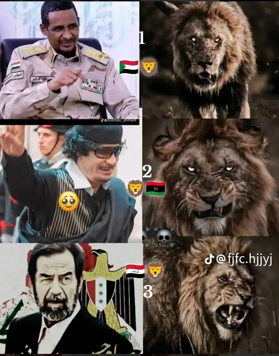 حمتي 🫡🇸🇩🦁