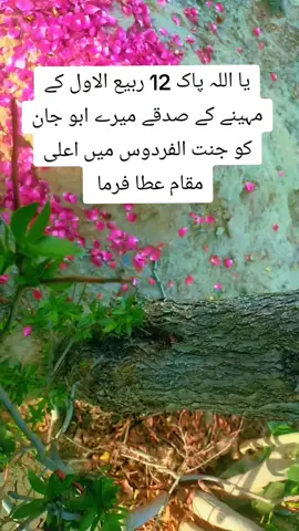 #😭😭😭😭😭😭 #😭😭😭😭😭😭 #trending #foryoupage #foryoupage 
