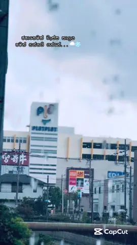 The beginning of the rainy season in Japan 🌧️🇯🇵 - #japan #srilanka #japantravel #fyp #student 