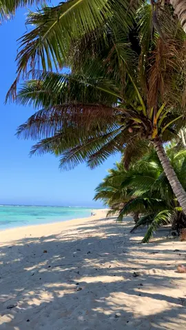 🏝️🥥 #cookislands #beachvibes #ocean #beautifuldestinations #paradise 