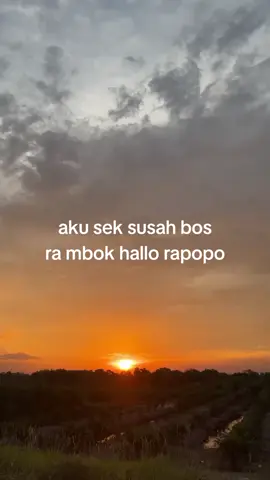 sek seret tenan bos #rxking#fyp 