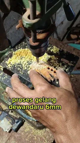 Galih dewandaru#fyppp #kayulangka 