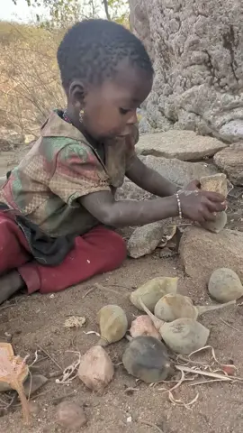 How to break baobab fruit 🥰💪#bushman #hadzabetribe🇹🇿 #hadzabelifestyle_ #hadzabebaby #hadzabe 