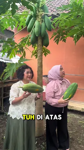 Perintah Ibu Negara harus dilaksanakan ya😂