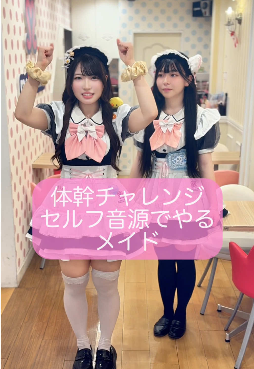 体幹チャレンジを歌いながらするメイドw #イコラブ #イコールラブ  #体幹チャレンジ  #超特急逃走中  #メイドカフェ  めいどりーみん新宿東口店 「ふわたまご」「みうりん」 @maidreamin_maid