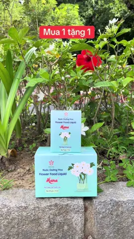 Combo 50 gói dưỡng hoa tươi lâu Hana #nuocduonghoa #nuocduonghoahana #nuocduonghoalautan #hana #review 