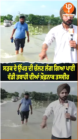 #indiapunjab #satlujriver #floodnews #pongdam #headsulemanki 