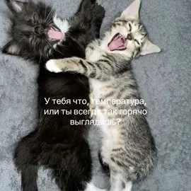 #врекомендации #тренды #переписка #подкатик #подкаты 