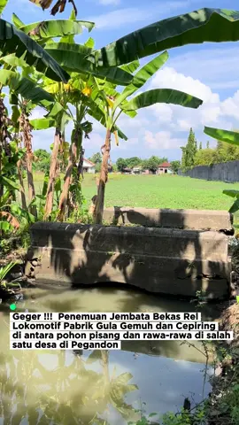 Geger!!! Sebuah jembatan bekas rel lokomotif milik Pabrik Gula Cepiring dan Pabrik Gula Gemuh di Temukan di antara pohon-pohon pisang dan rawa-rawa. Penemuan ini memggembarkan pecinta sejarah di mana hal ini membuktikan bahwa dulu di sini pernah digunakan untuk lewat lokomotif pengangkut tebu yang baru panen dari ladang ke Pabrik Gula Cepiring dan Gemuh #pabrikgula #sejarahkendal 