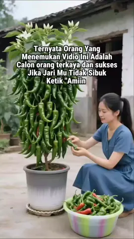 BAGI YANG INGIN BEKERJA SAMA BISNIS LUAR NEGERI ( HONGKONG ) DILAYANAN KAMI SILAHKAN CEK BIO PROFIL 📌🌐#bisnis #fypシ #fypシ゚viral 