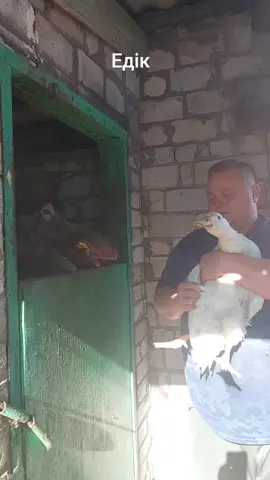 #Едік #сільськийдвір #дтп #треш #україна 