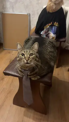 Vazенька